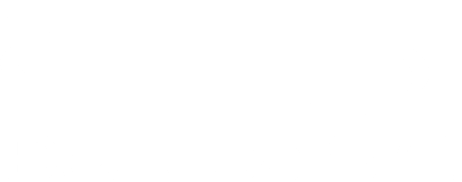 Delruba logo